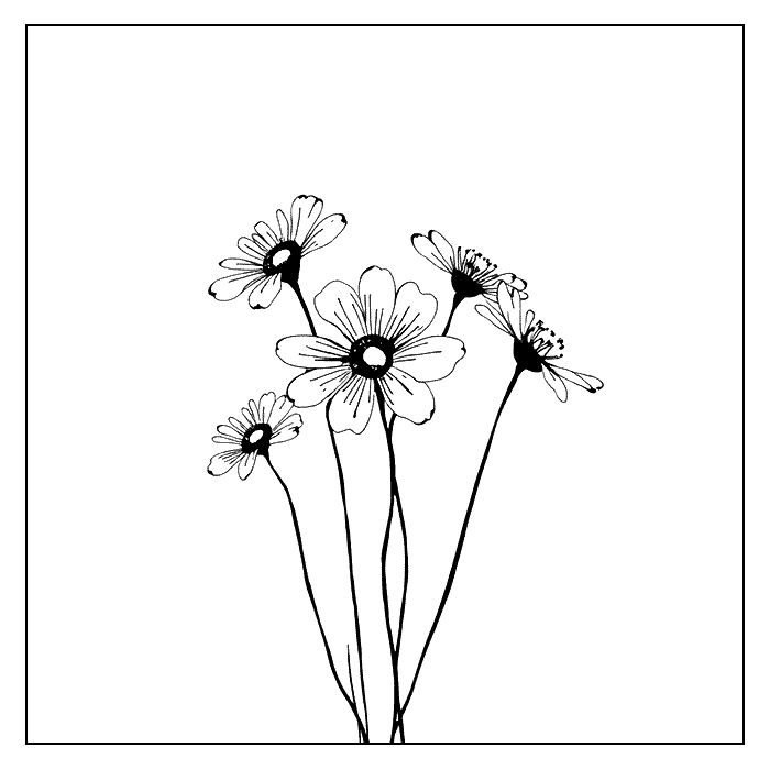 Imagen para cuadro flores minimalista